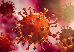 News zur Praxis Bild zum Thema Aktuelles bei Dr. med. Ines Fleger